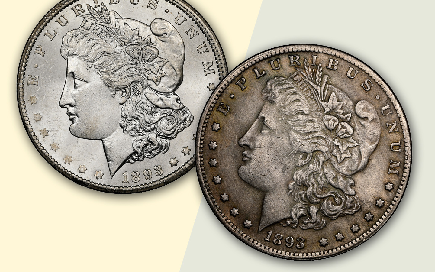 1893-CC Morgan Dollar