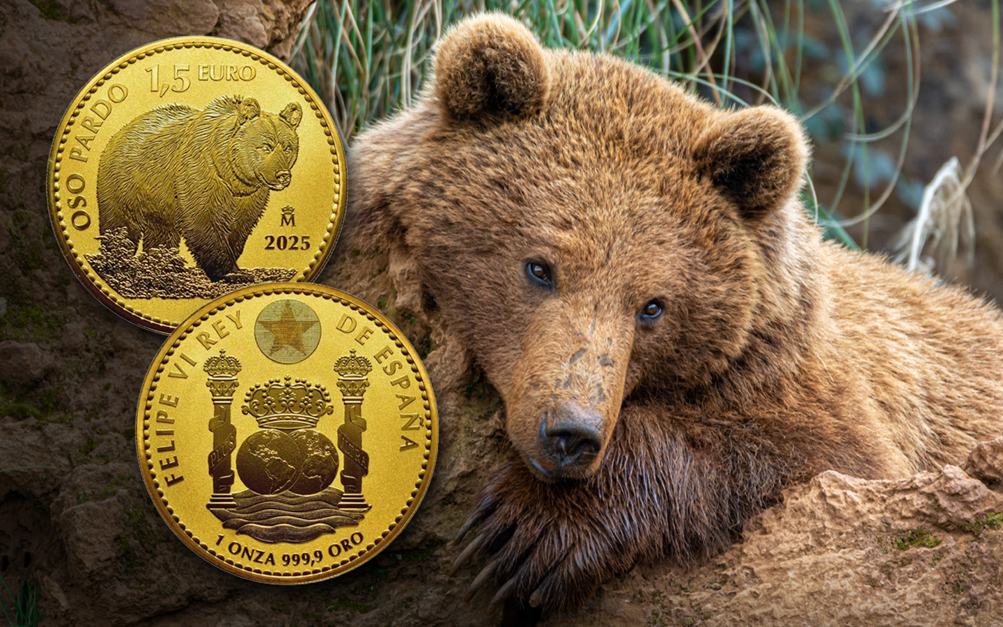 Brown Bear Bullion