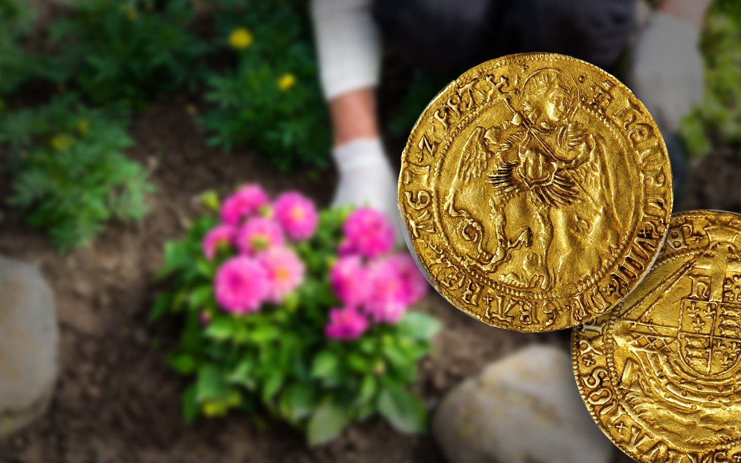 Tudor Garden Hoard