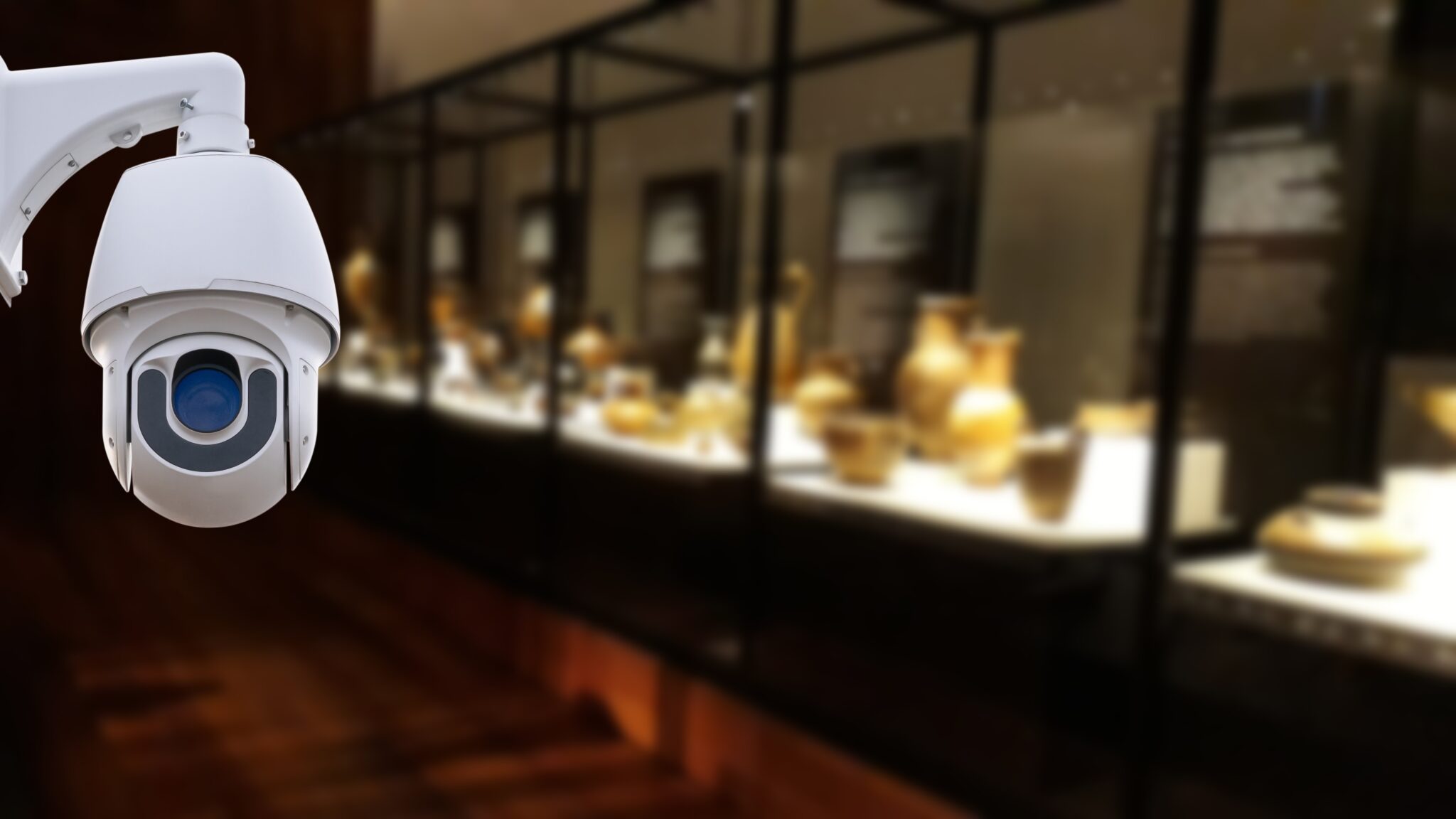 Criminals Target French Museums