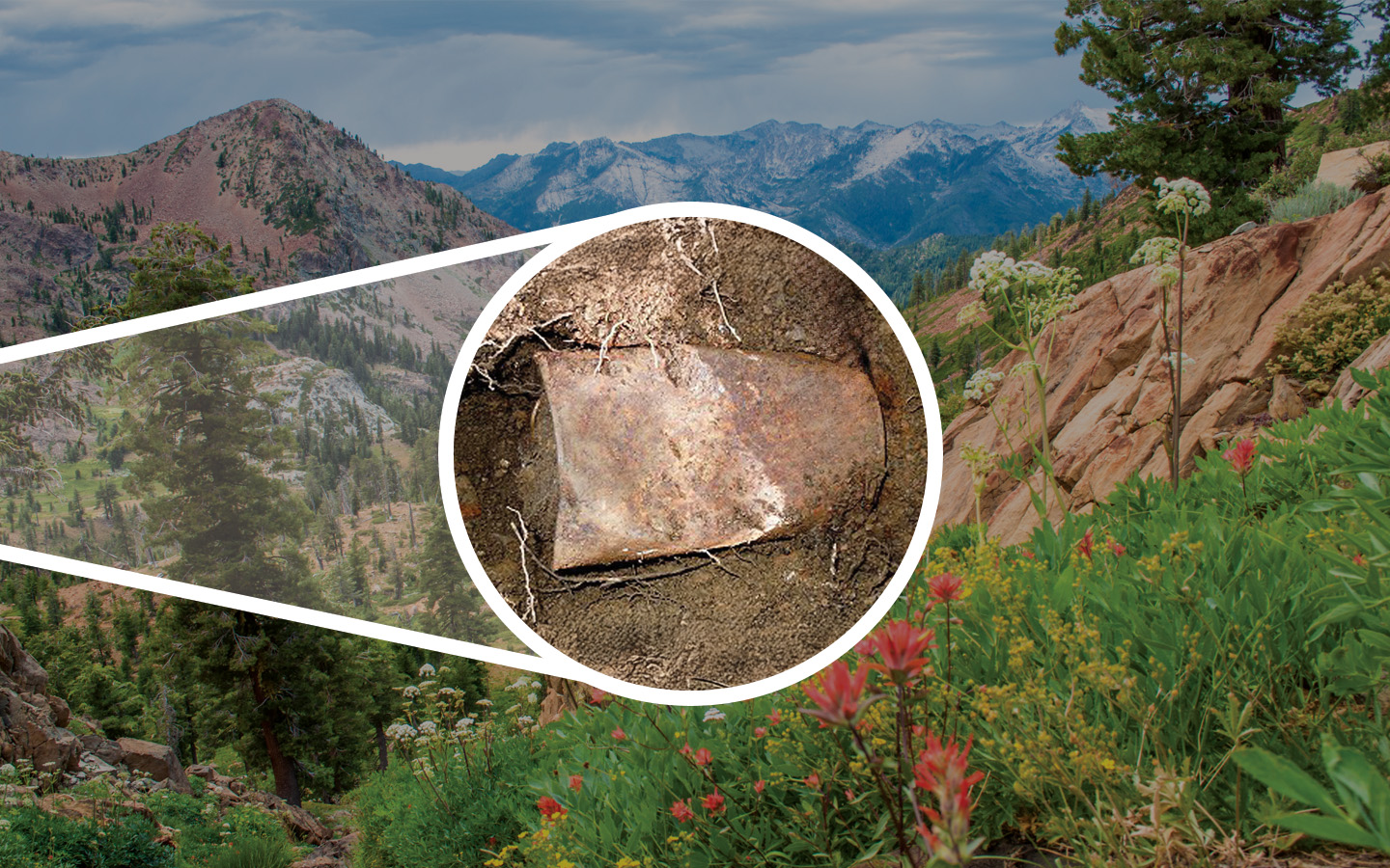 Saddle Ridge Hoard