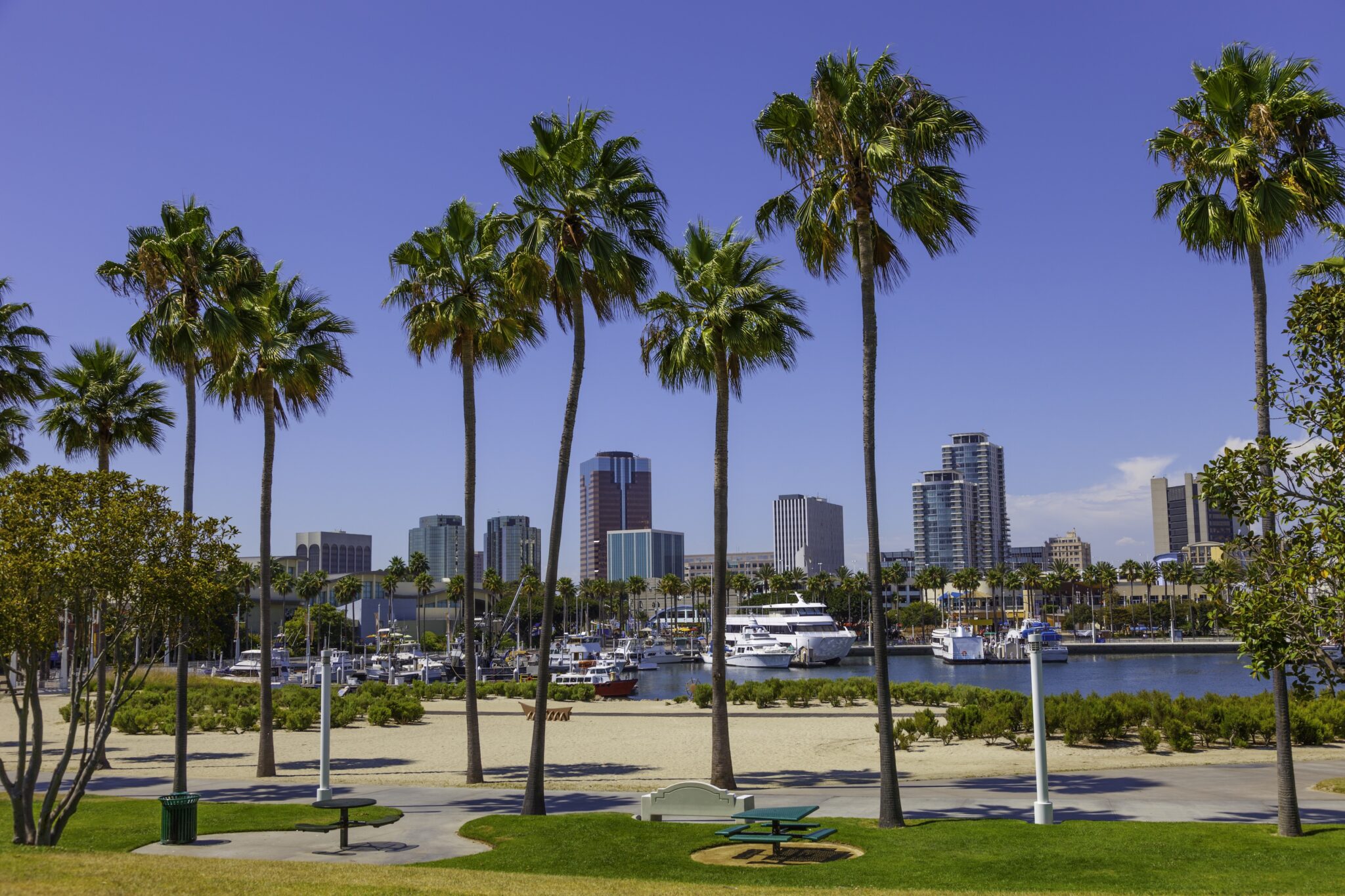 Stack’s Acquires Long Beach Expo