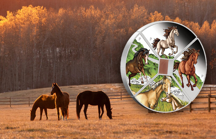 Year of the Horse Quadrant Coin