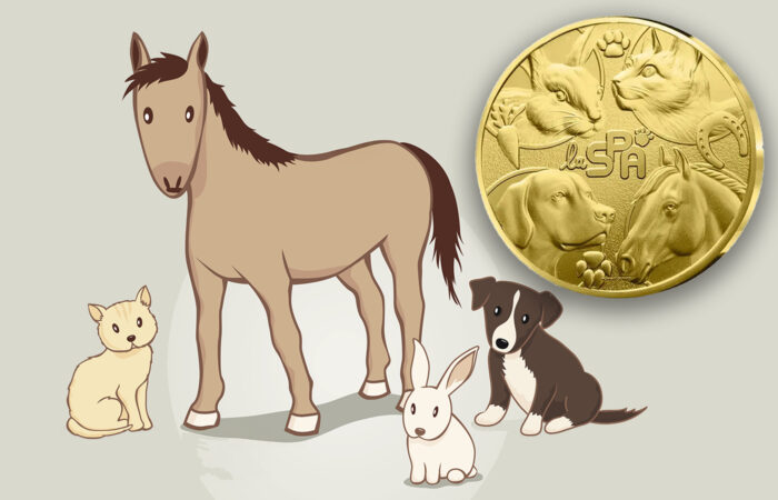 French Furry Friends