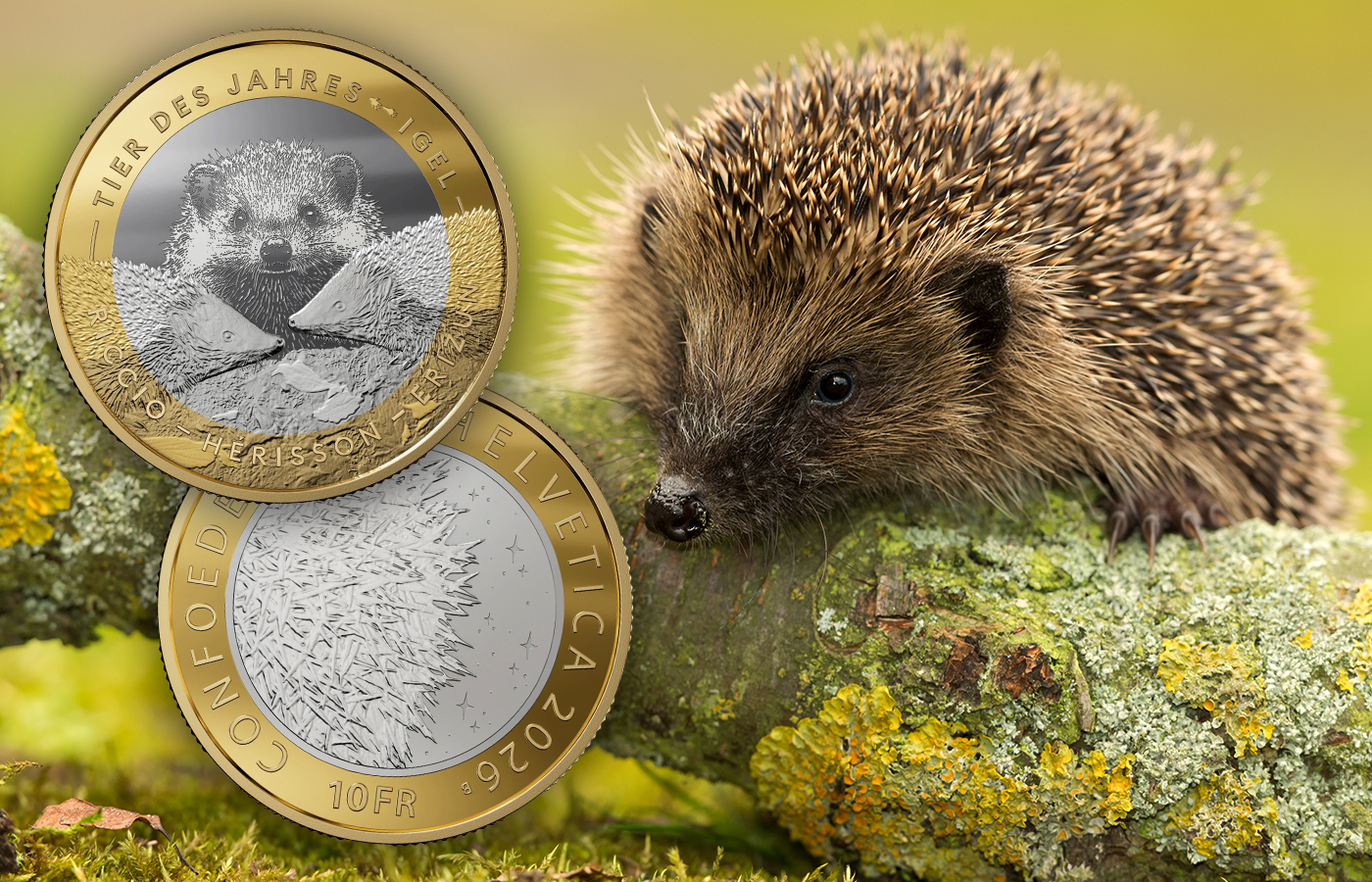 A Prickly Commemorative
