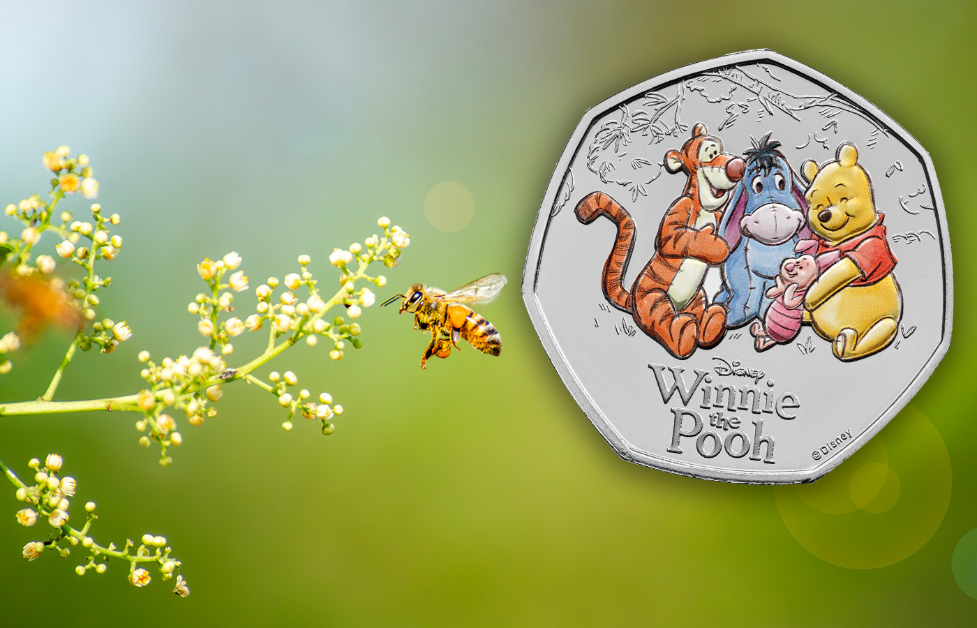 Friends in the Hundred Acre Wood