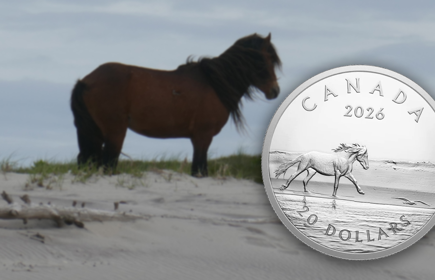 An Equine Commemorative