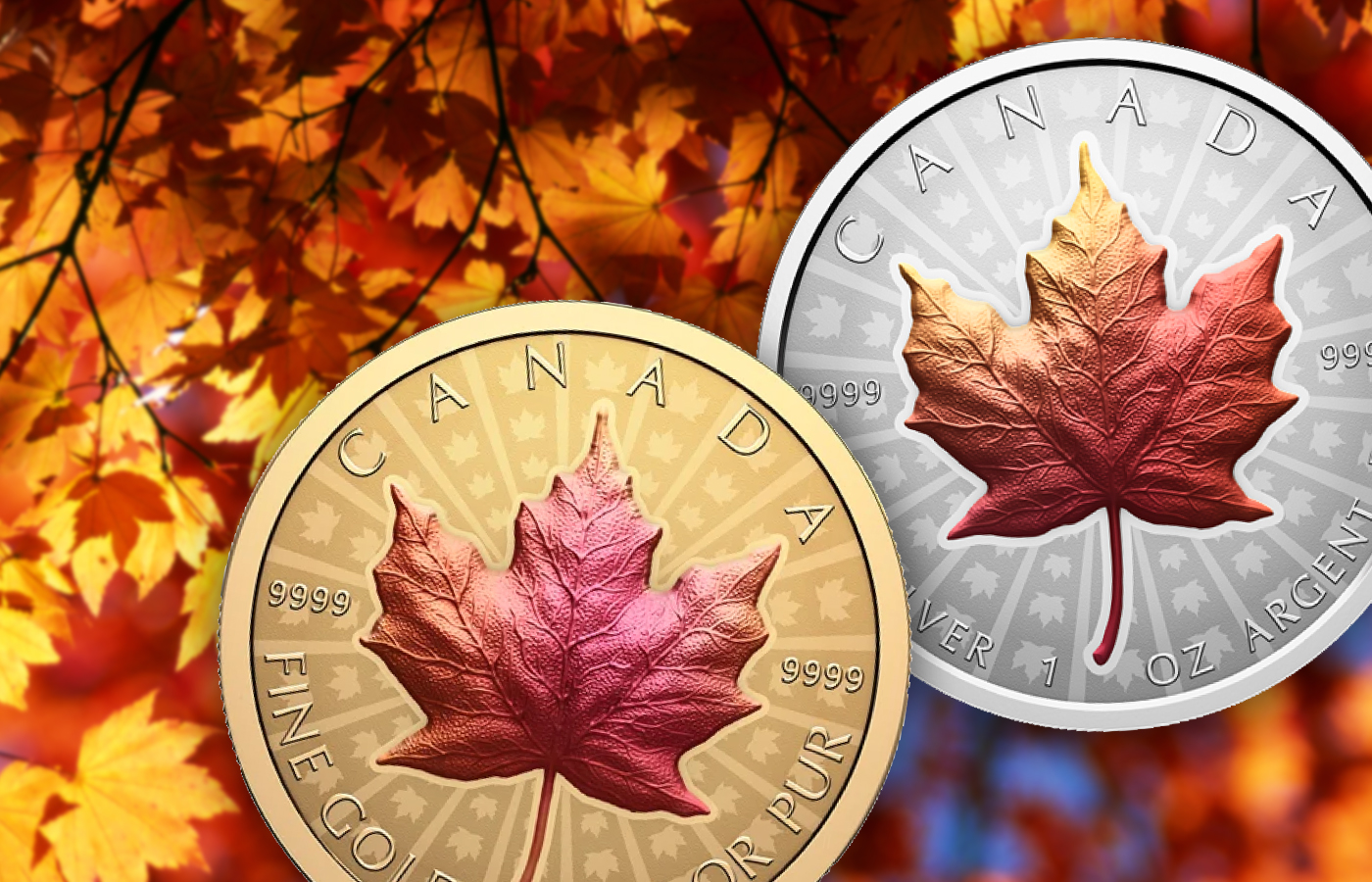 Vivid Maple Leaf Coins