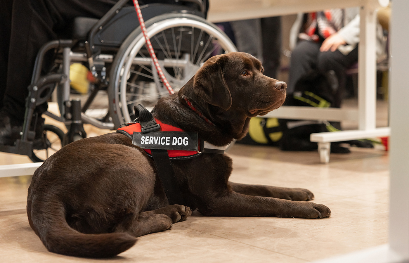 Working Dogs Honored on Commemoratives