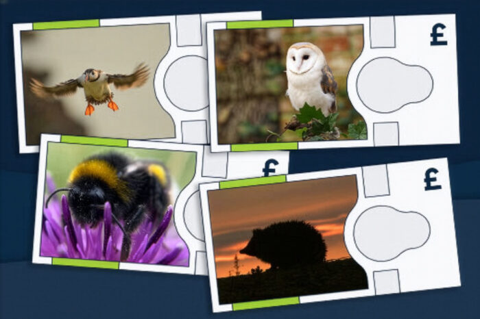 Four Animals Chosen for Britain’s New Notes