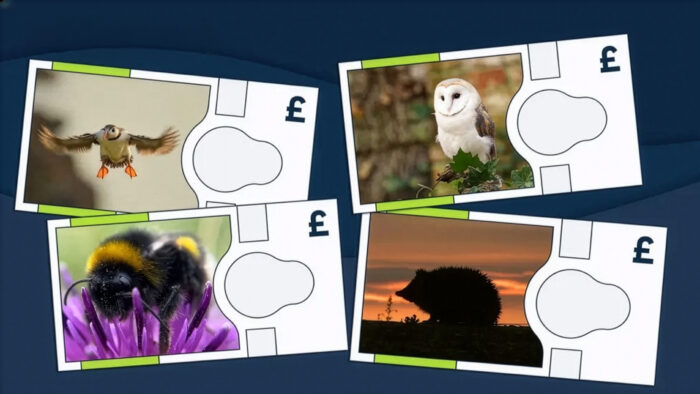 Four Animals Chosen for Britain’s New Notes
