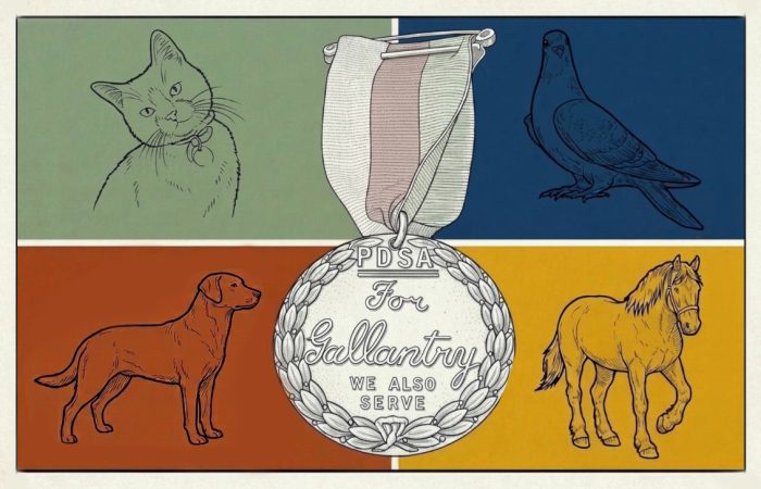 Animal War Heroes